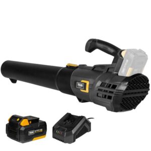 Texas A/S LBX2000 (20V) m/batteri+lader Løvblæser